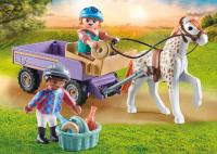 Carruaje con Poni